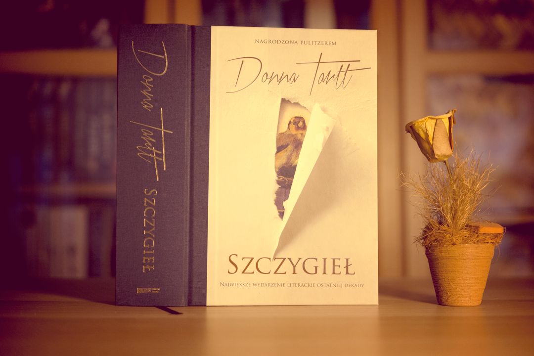 Szczygieł